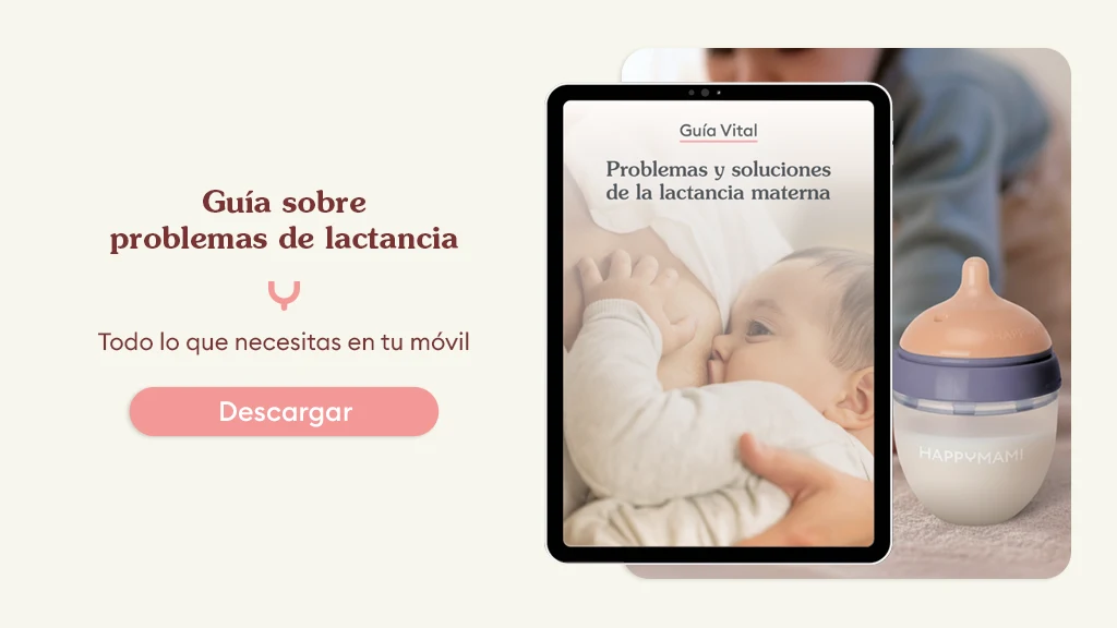 blog guia problemas lactancia